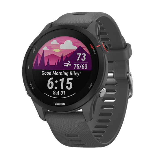 Garmin Forerunner 255 GPS 33mm Graphite Band - Slate Black