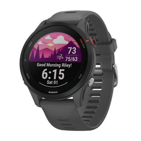 Garmin Forerunner 255 GPS 33mm Graphite Band - Slate Black